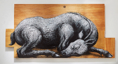 Roa 3