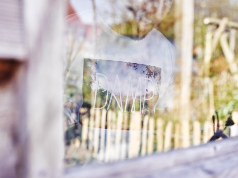 damp2-CF001215-small