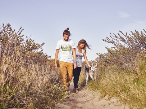 damp3-CF001437-small